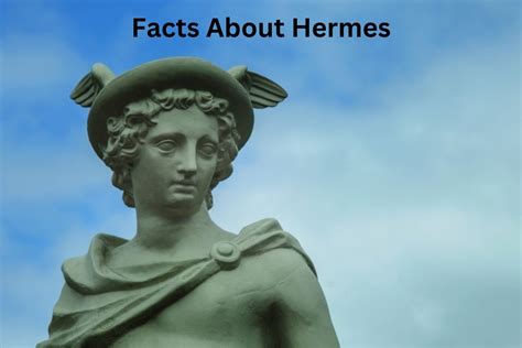 hermes cartoon bag|3 facts about hermes.